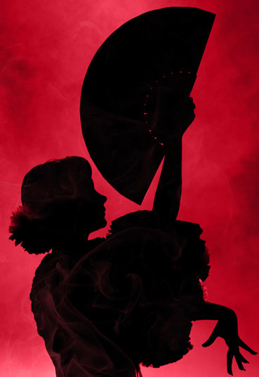 Dayton Performing Arts Alliance Opera Series