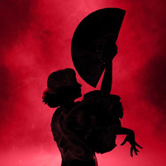 Dayton Performing Arts Alliance Opera Series
