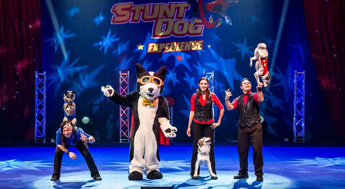 The Perondi's Stunt Dog Experience performing on stage