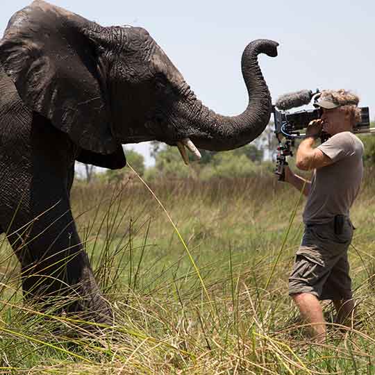 Filmmaker Bob Poole: In The Footsteps Of Giants