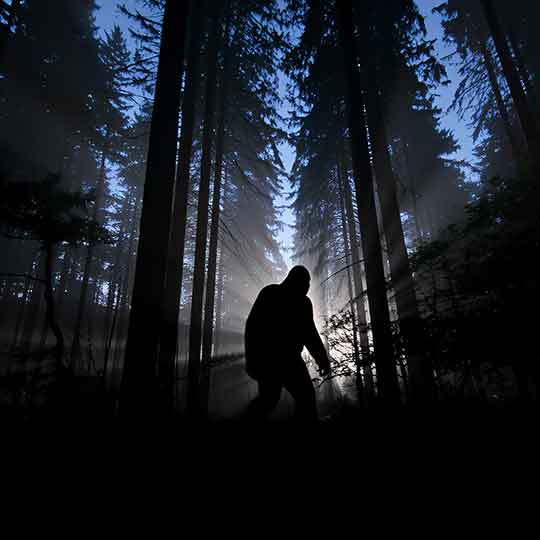 A Night Of Bigfoot With Dr. Mireya Mayor & Russell Acord