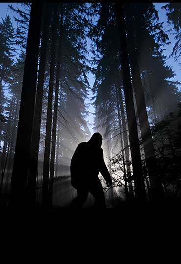A Night Of Bigfoot With Dr. Mireya Mayor & Russell Acord