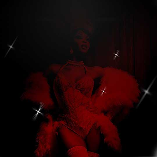 The Art Of Burlesque: Elegance, Seduction, Expression