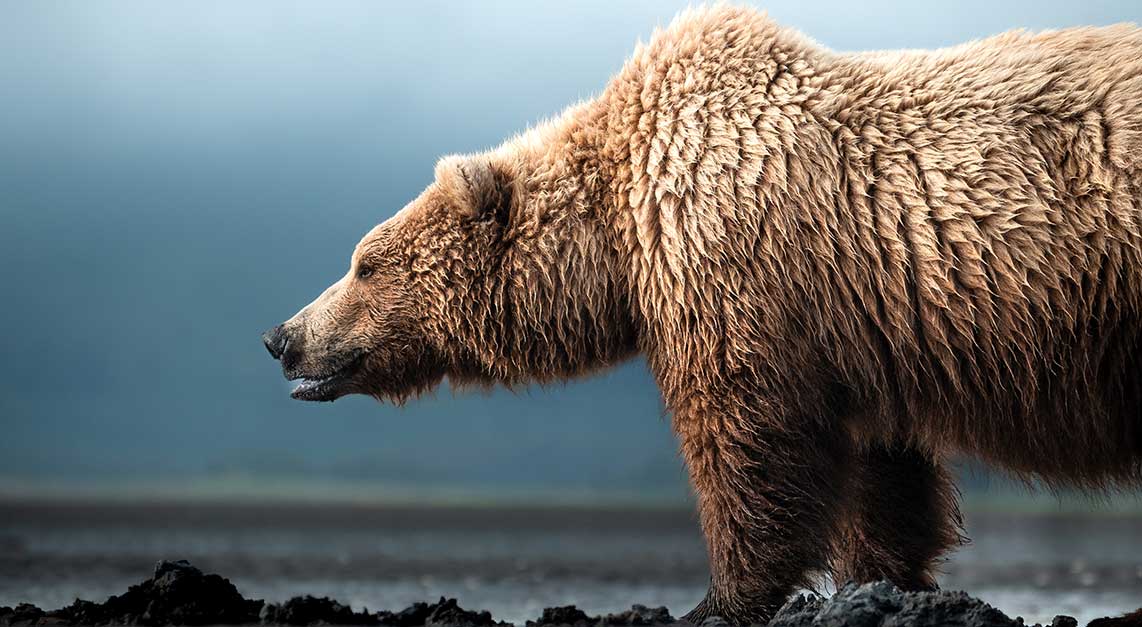 Photo by Casey Anderson