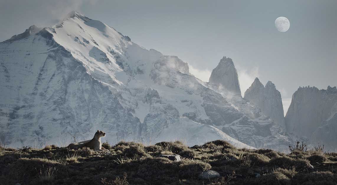 Photo by Casey Anderson
