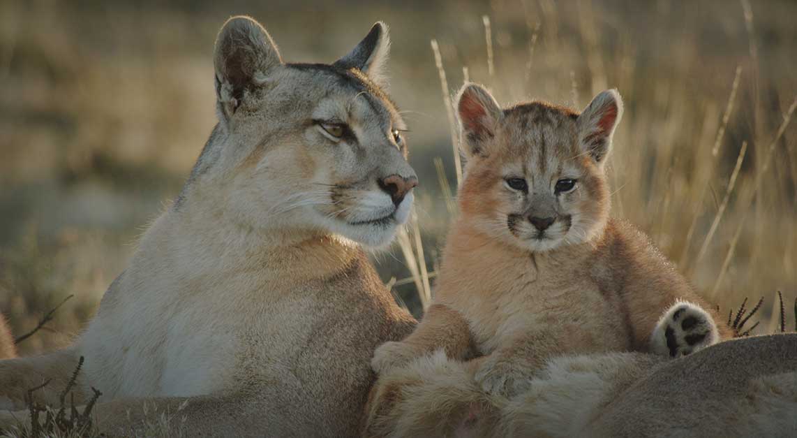 Photo by Casey Anderson
