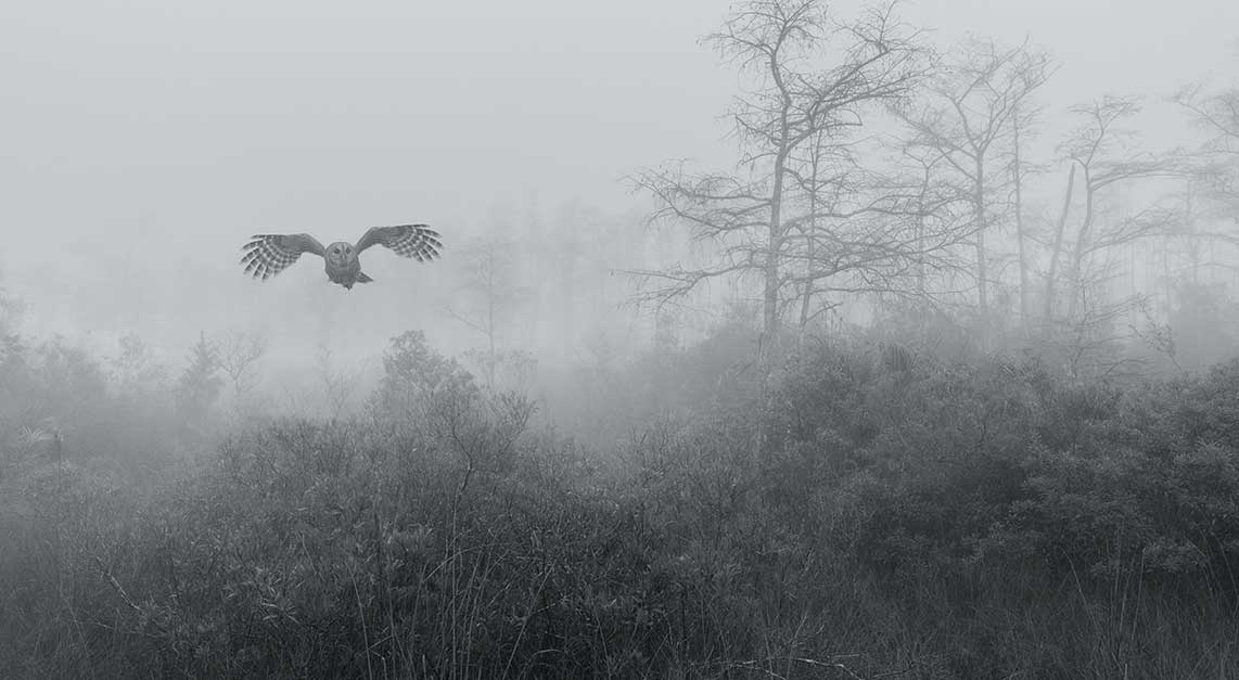 Photo by Luca Martinez